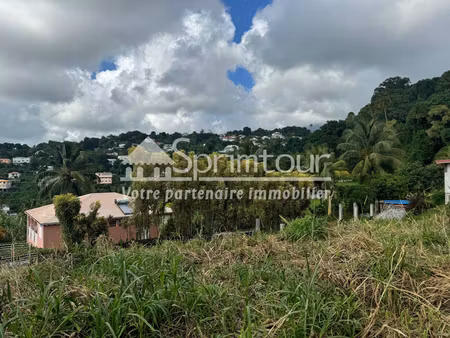 gourbeyre - terrain a batir