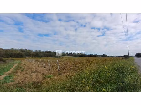 pézilla la rivière - parcelle de terre agricole 2 ha