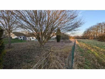 vente terrain  750.00m²  onzain