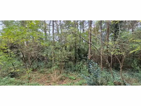terrain boisé 2457m²