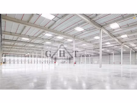 entrepot 50 000 m² a louer gretz