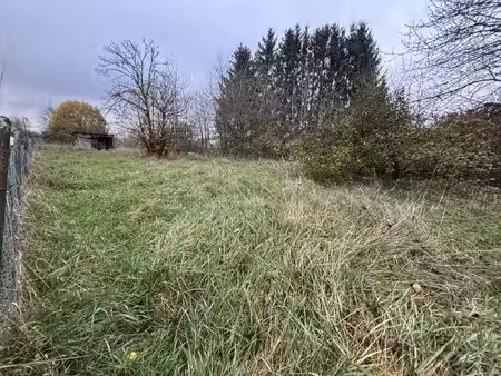 bouzonville - terrain constructible - 19.77 ares