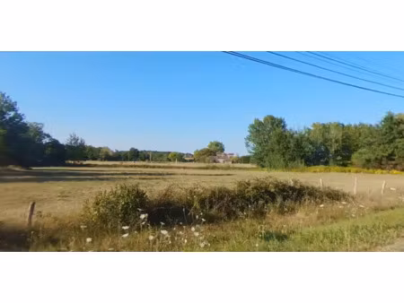 vente terrain 9213 m² bazas (33430)