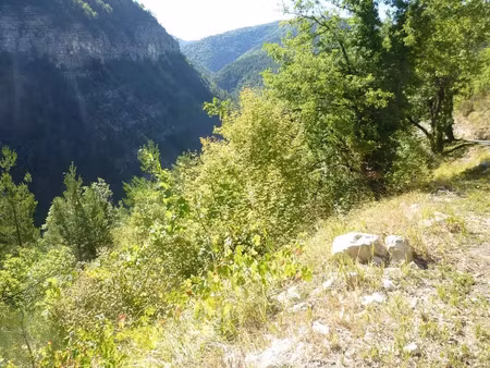vente terrain 5240 m² à entrevaux (04320)  7 000 €