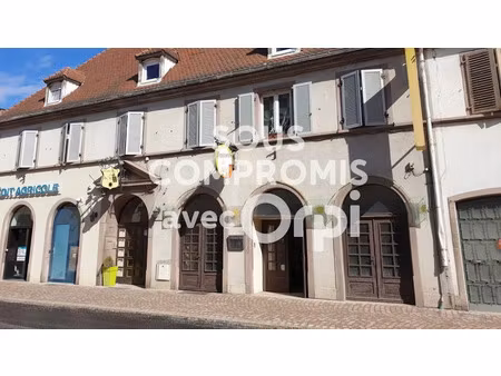 vente locaux professionnels 150 m² à neuf-brisach (68600)  110 000 €