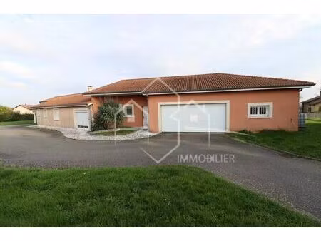 annonce vente maison 6 pièces de 190m2 à la chapelle-de-surieu (38150) - paruvendu.fr ref 