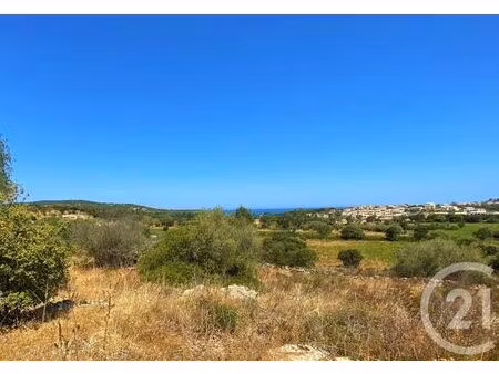 terrain à vendre - 5245 m2 - belgodere - 202 - corse