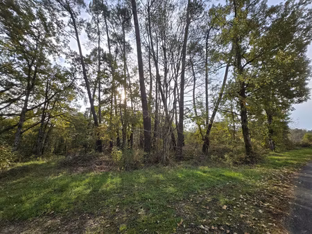 terrain à bâtir boisé!