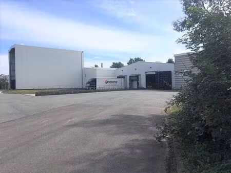vente/location local d'activités ruitz 4 200 m²