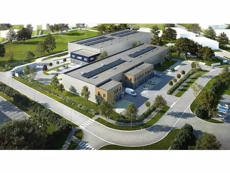 vente/location local d'activités wattrelos 1 668 m²