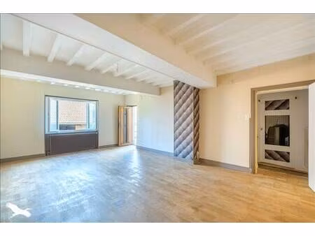 vente maison 9 pièces 139 m² fleurieu-sur-saône (69250)