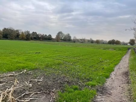 mooi gelegen perceel landbouwgrond 5550 m²
