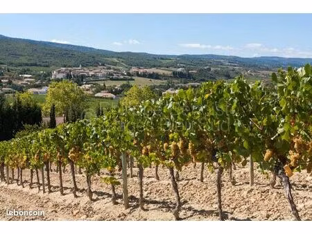 vignes à vendre
