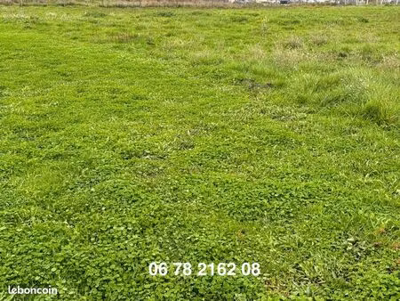 terrain construcitble-1084m2-03000 avermes