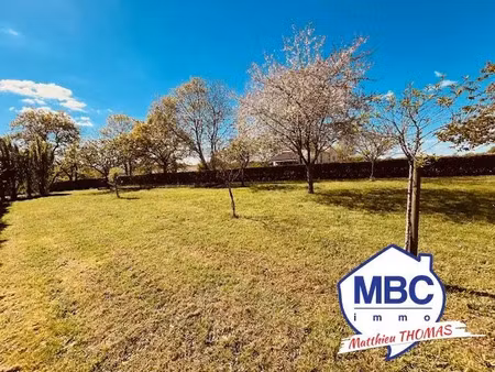 vente terrain à la chaussaire (49600) : à vendre / la chaussaire