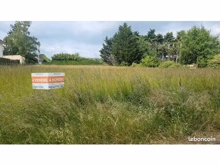 terrain 1 559 m² drache