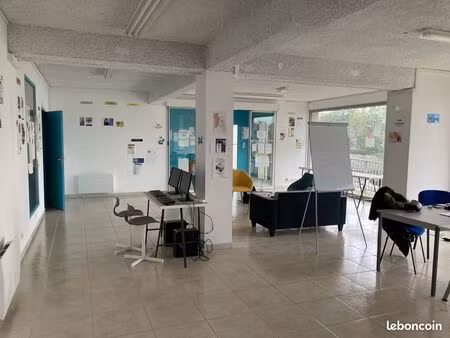 local commercial 186 m² segré-en-anjou bleu