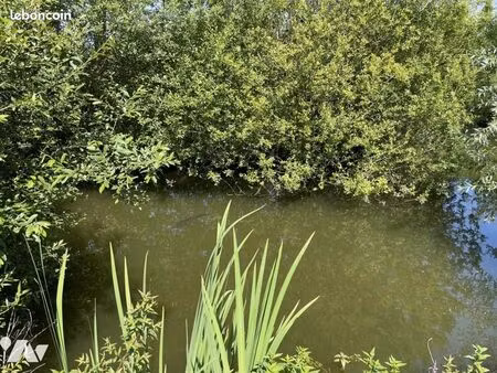 terrain 3730 m² marolles les braults