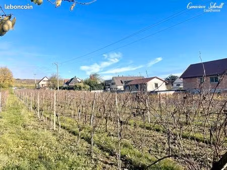 terrain 2 112 m² obermorschwihr