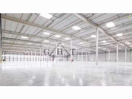 local industriel 50 331 m²