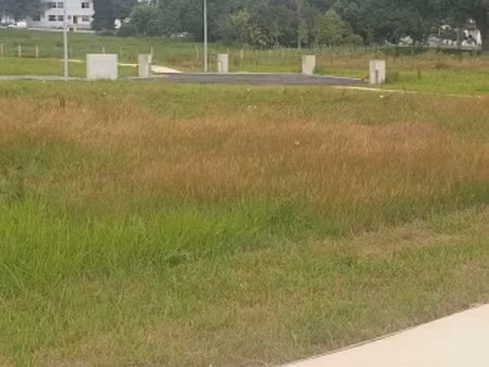 vente terrain 501 m² à saint-palais (64120)  75 900 €