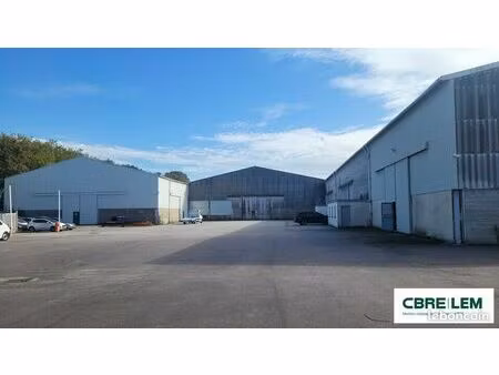 local d'activité 5 618 m²