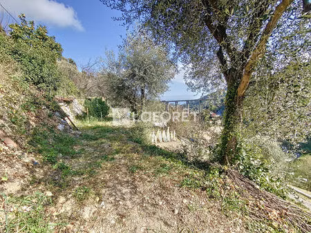 terrain gorbio 1041 m2