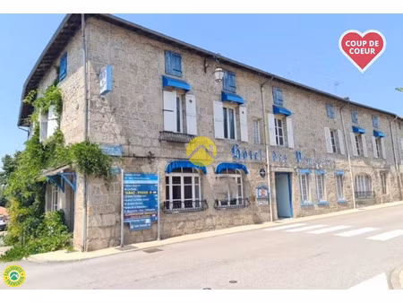 vente maison 25 pièces 500 m² peyrat-le-château (87470)