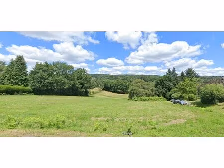 vente terrain 8580 m² saint-junien (87200)