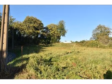 vente terrain 1326 m² lascaux (19130)