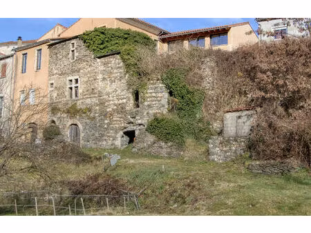 vente maison 4 pièces 100 m² le collet-de-dèze (48160)