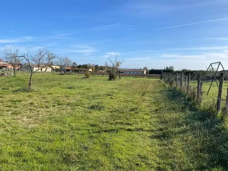 vente terrain 733 m² à saint-christoly-de-blaye (33920)  50 400 €
