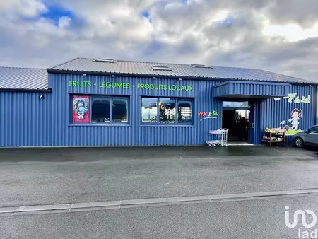 vente locaux professionnels 360 m² à uzel pres l'oust (22460)  466 000 €