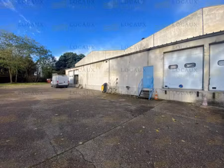 a louer - local d'activité 248 m²