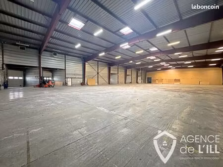 entrepôt 3000 m² scherwiller