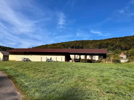 vente garage 3700 m² saint-bresson (70280)