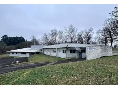 vente locaux professionnels 20 pièces 655 m² à salies-de-bearn (64270)  499 000 €