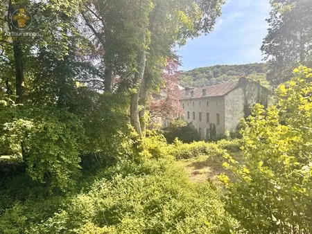 demeure historique à vaux: opportunité exceptionnelle