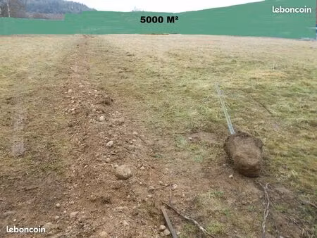 terrain 5000 m² à louer à anould