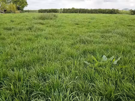 terrain à vendre