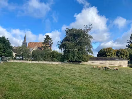 vente terrain 4187 m² bessé-sur-braye (72310)