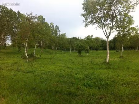 terrain à louer : jardinage  loisirs ou point de vente