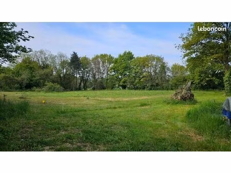 terrain 250 m² coulaines