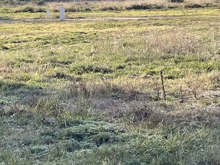 vente terrain 966 m² houeillès (47420)