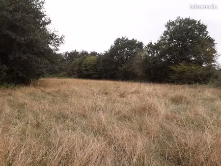 terrain à louer