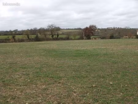 terrain 5000m2 viabilisé