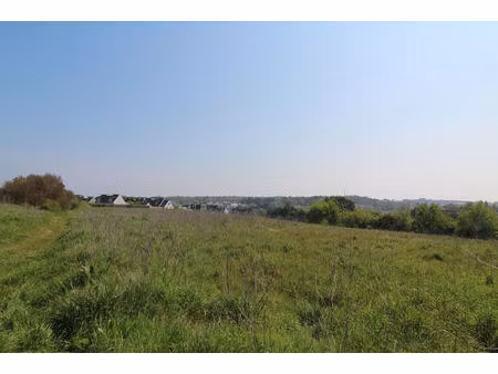 belle ile en mer vente terrain a vendre proche du port 7 693 m²
