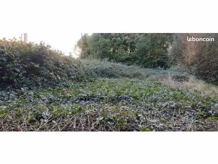 terrain 610 m2