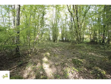 vente terrain 2312 m² à melleroy (45220)  25 000 €