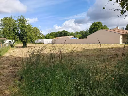 vente terrain pessines 17810 - 87000 € - surface privée